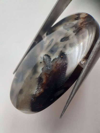 Natural blue and brown Agate - 41.153 ct - oval - rare sumatra palm root agate