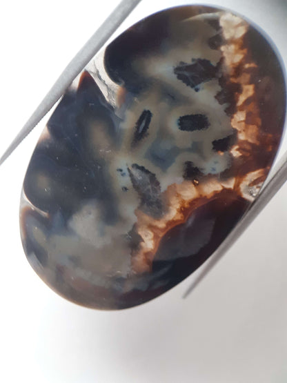 Natural blue and brown Agate - 41.153 ct - oval - rare sumatra palm root agate