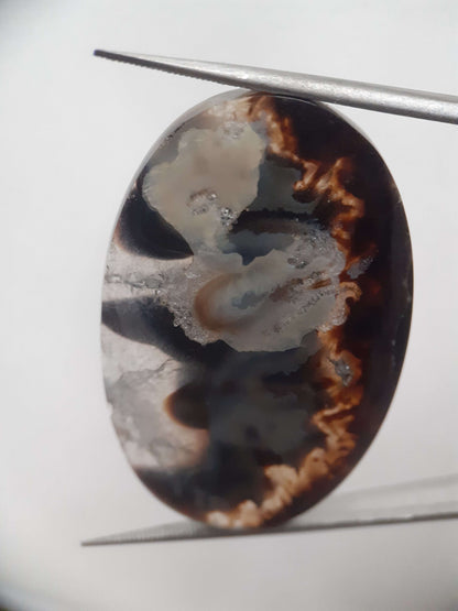 Natural blue and brown Agate - 42.124 ct - oval - rare sumatra palm root agate