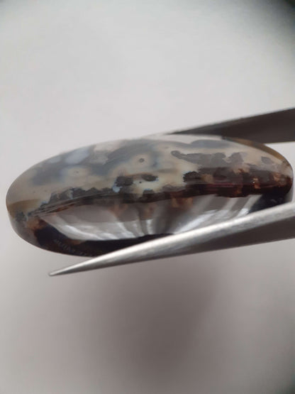 Natural blue and brown Agate - 45.244 ct - oval - rare sumatra palm root agate