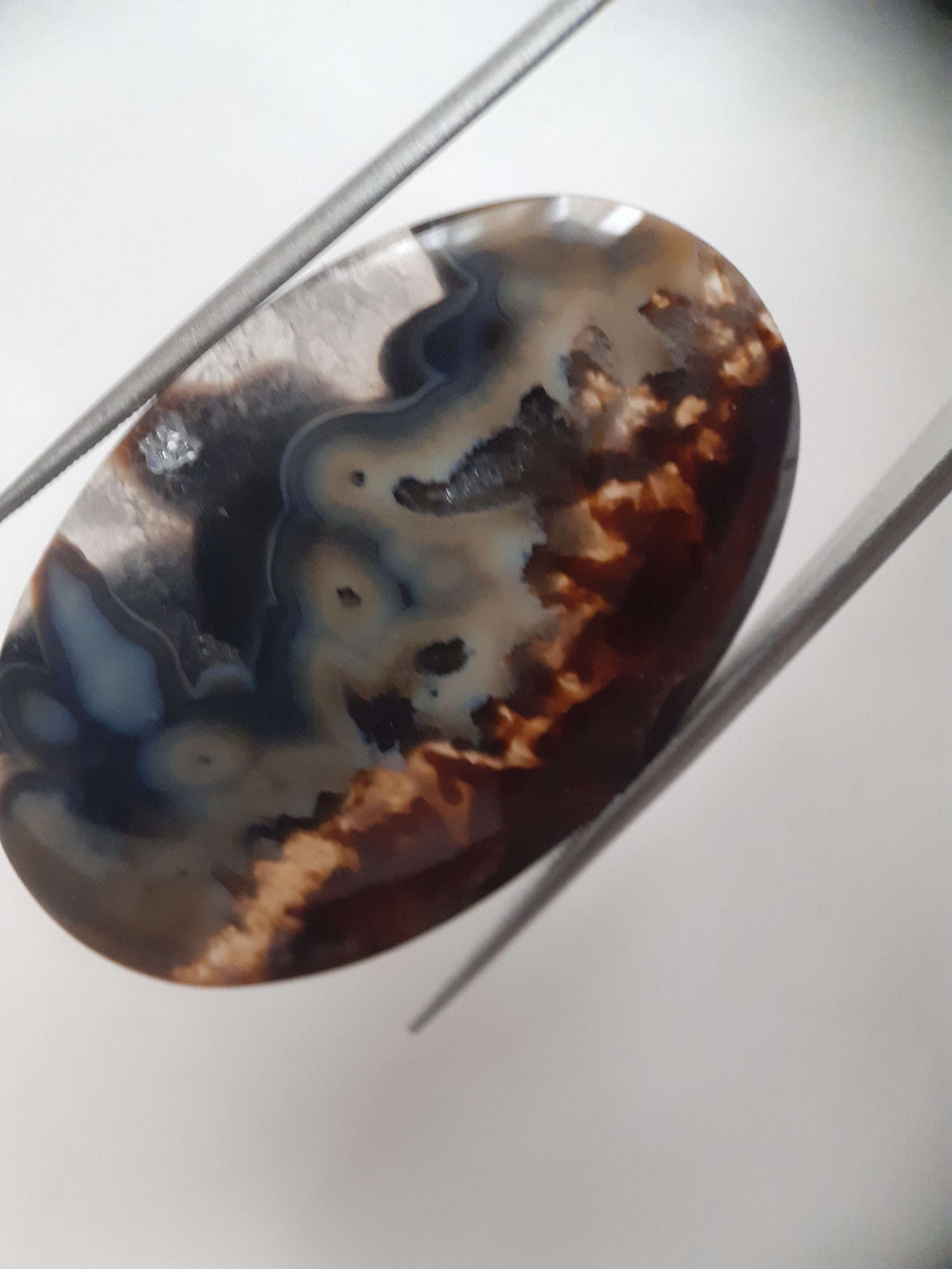 Natural blue and brown Agate - 45.244 ct - oval - rare sumatra palm root agate