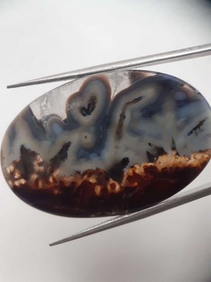 Natural blue and brown Agate - 45.244 ct - oval - rare sumatra palm root agate