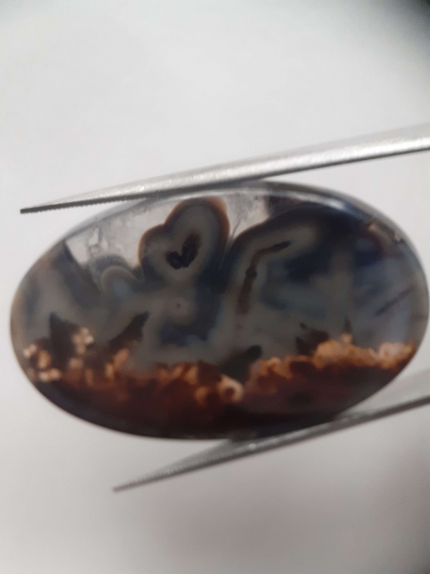 Natural blue and brown Agate - 45.244 ct - oval - rare sumatra palm root agate