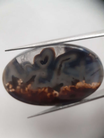 Natural blue and brown Agate - 45.244 ct - oval - rare sumatra palm root agate