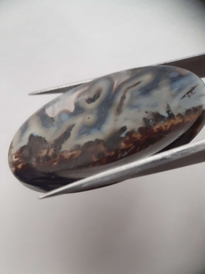 Natural blue and brown Agate - 45.244 ct - oval - rare sumatra palm root agate