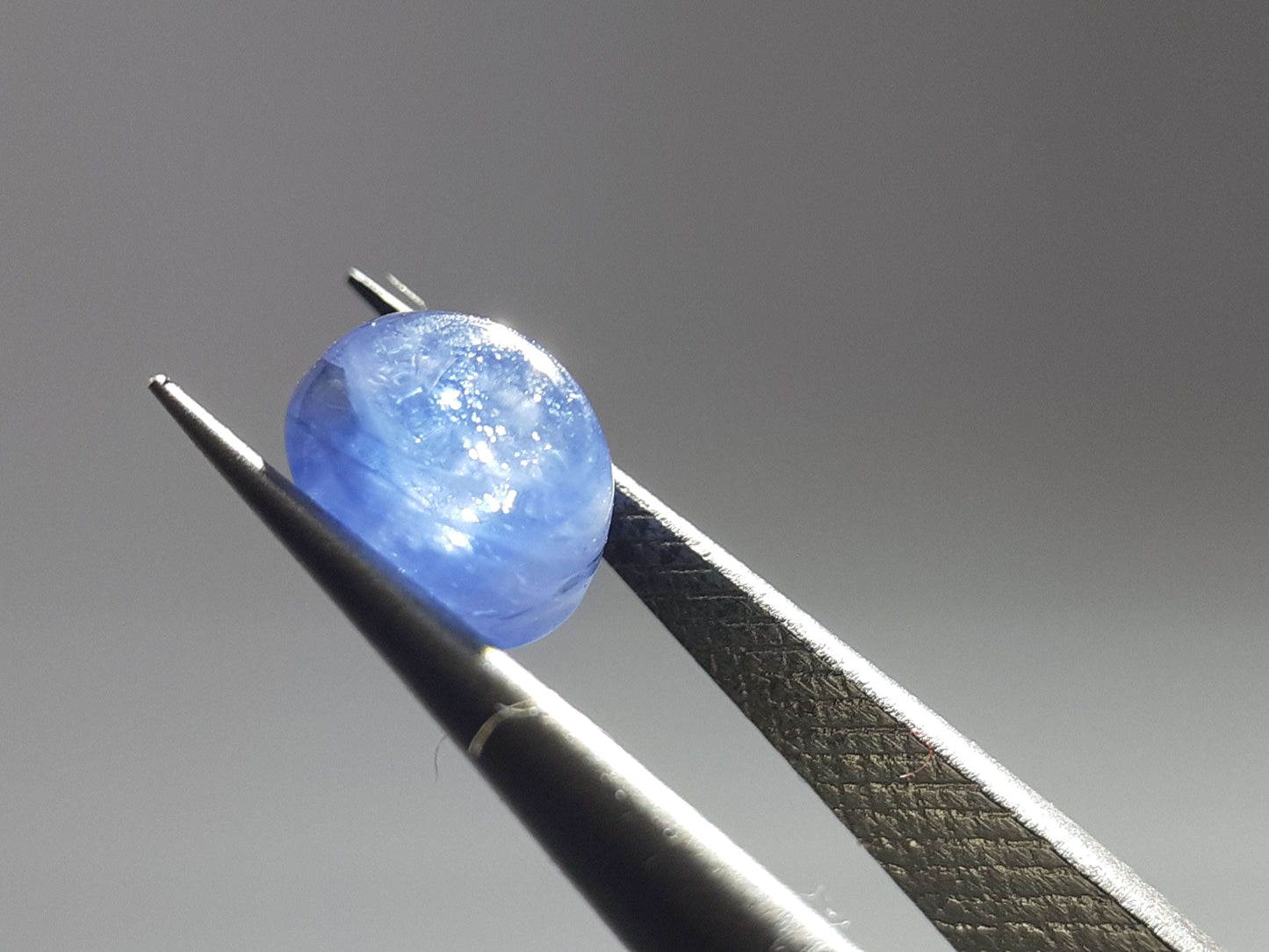 Natural blue Sapphire - 1.28 ct - oval cabochon - Ceylon - heated - certified by NGB - Natural Gems Belgium