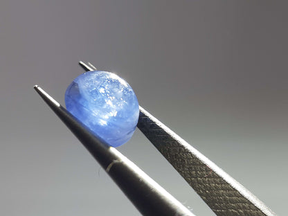 Natural blue Sapphire - 1.28 ct - oval cabochon - Ceylon - heated - certified by NGB - Natural Gems Belgium