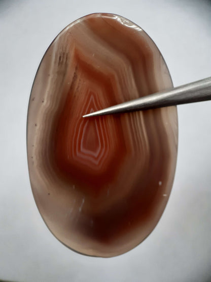 Natural brownish red and puplish grey Botswana Agate - 57.15 ct - oval Cabochon