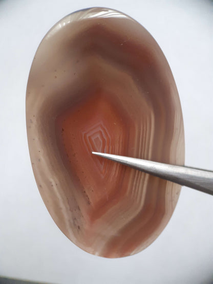 Natural brownish red and puplish grey Botswana Agate - 57.15 ct - oval Cabochon