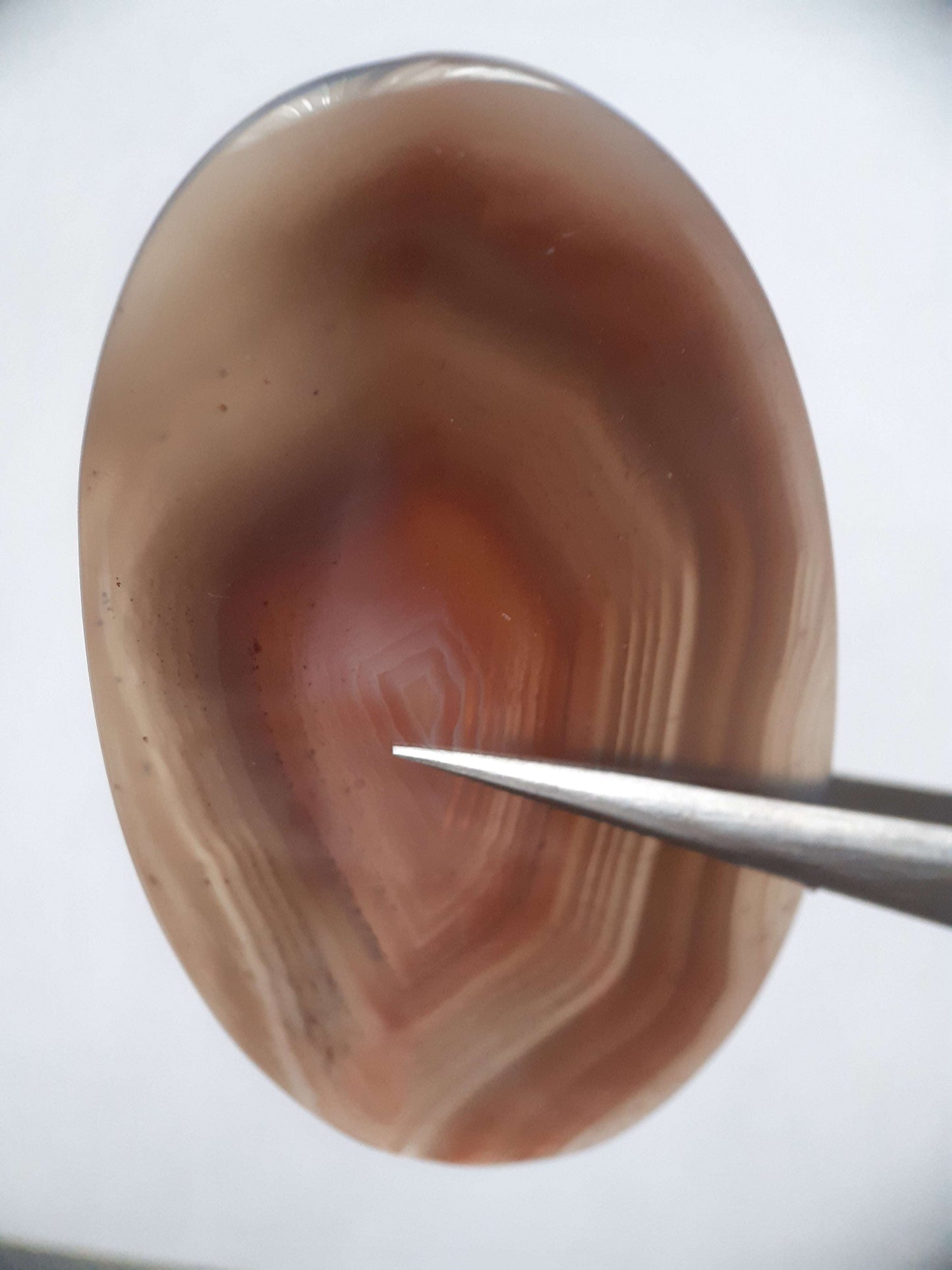 Natural brownish red and puplish grey Botswana Agate - 57.15 ct - oval Cabochon