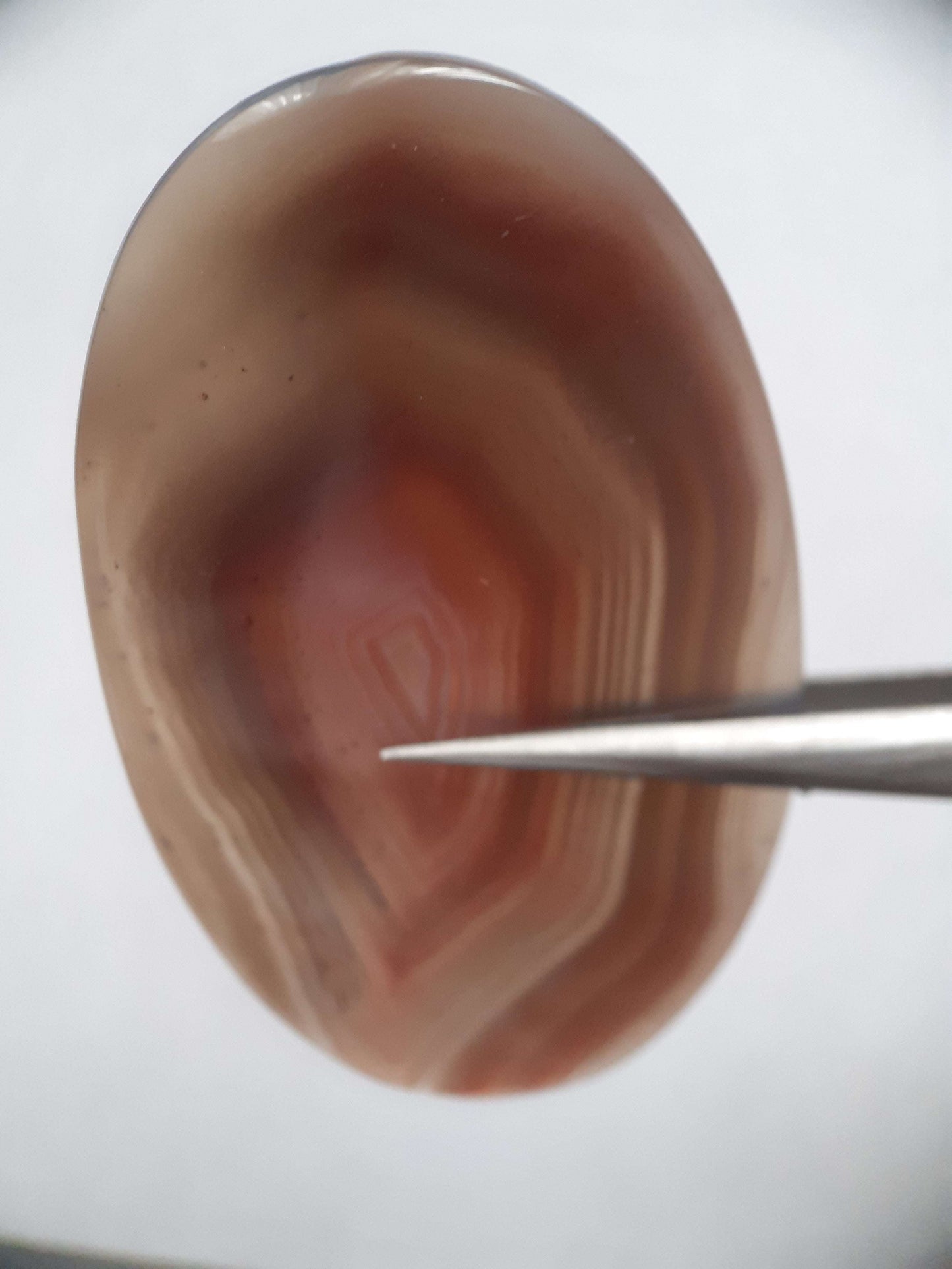 Natural brownish red and puplish grey Botswana Agate - 57.15 ct - oval Cabochon