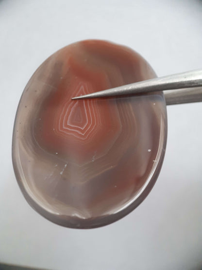 Natural brownish red and puplish grey Botswana Agate - 57.15 ct - oval Cabochon