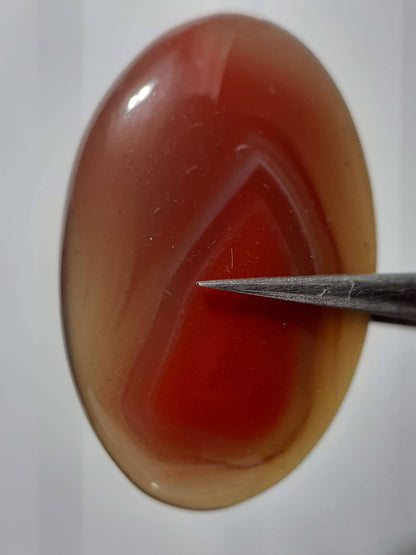 Natural brownish red Botswana Agate - 24.46 ct - oval Cabochon - unheated - certified by NGB