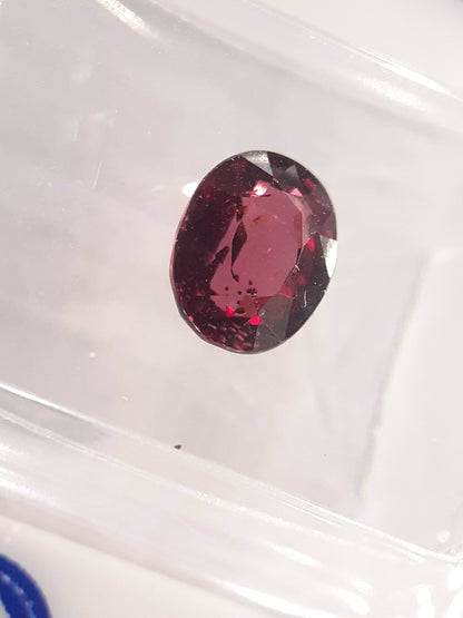 Certified Natural Rhodolite Garnet - 1.58 ct - oval cut - Tanzania - Sealed - Natural Gems Belgium