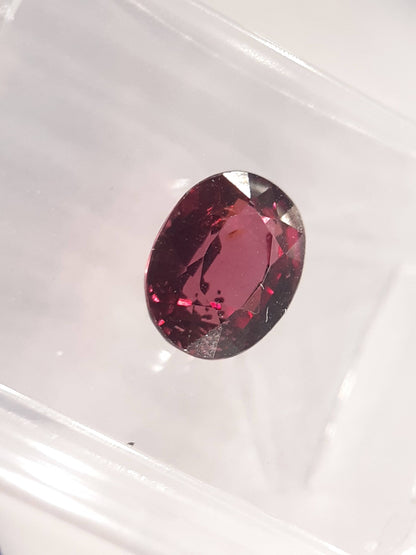 Certified Natural Rhodolite Garnet - 1.58 ct - oval cut - Tanzania - Sealed - Natural Gems Belgium