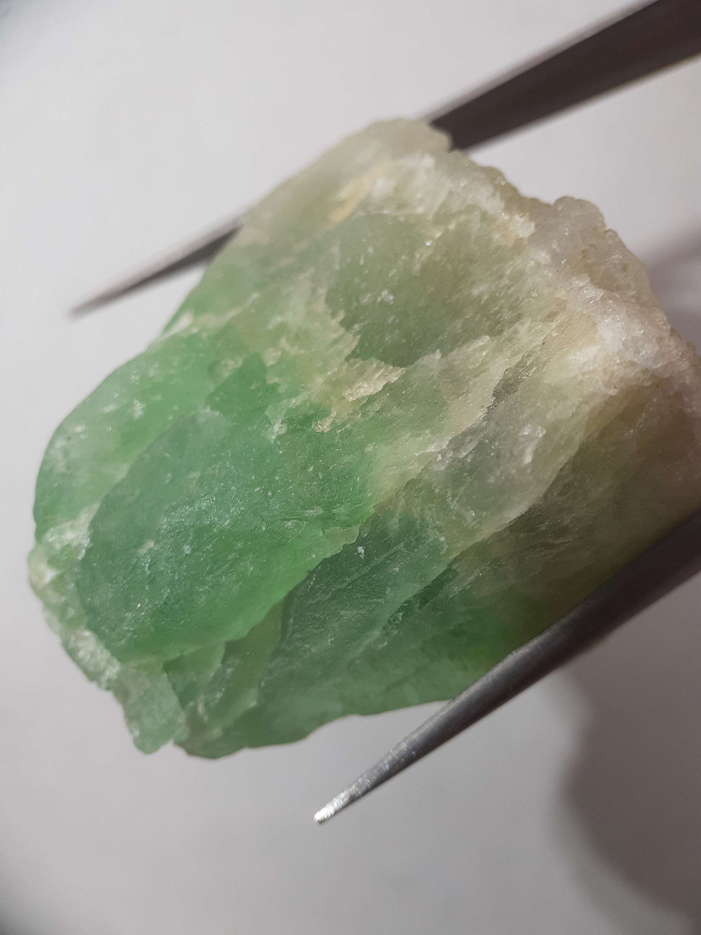 Natural Green Fluorite - 154.93 ct - Rough Gemstone - unheated - Certified by NGB