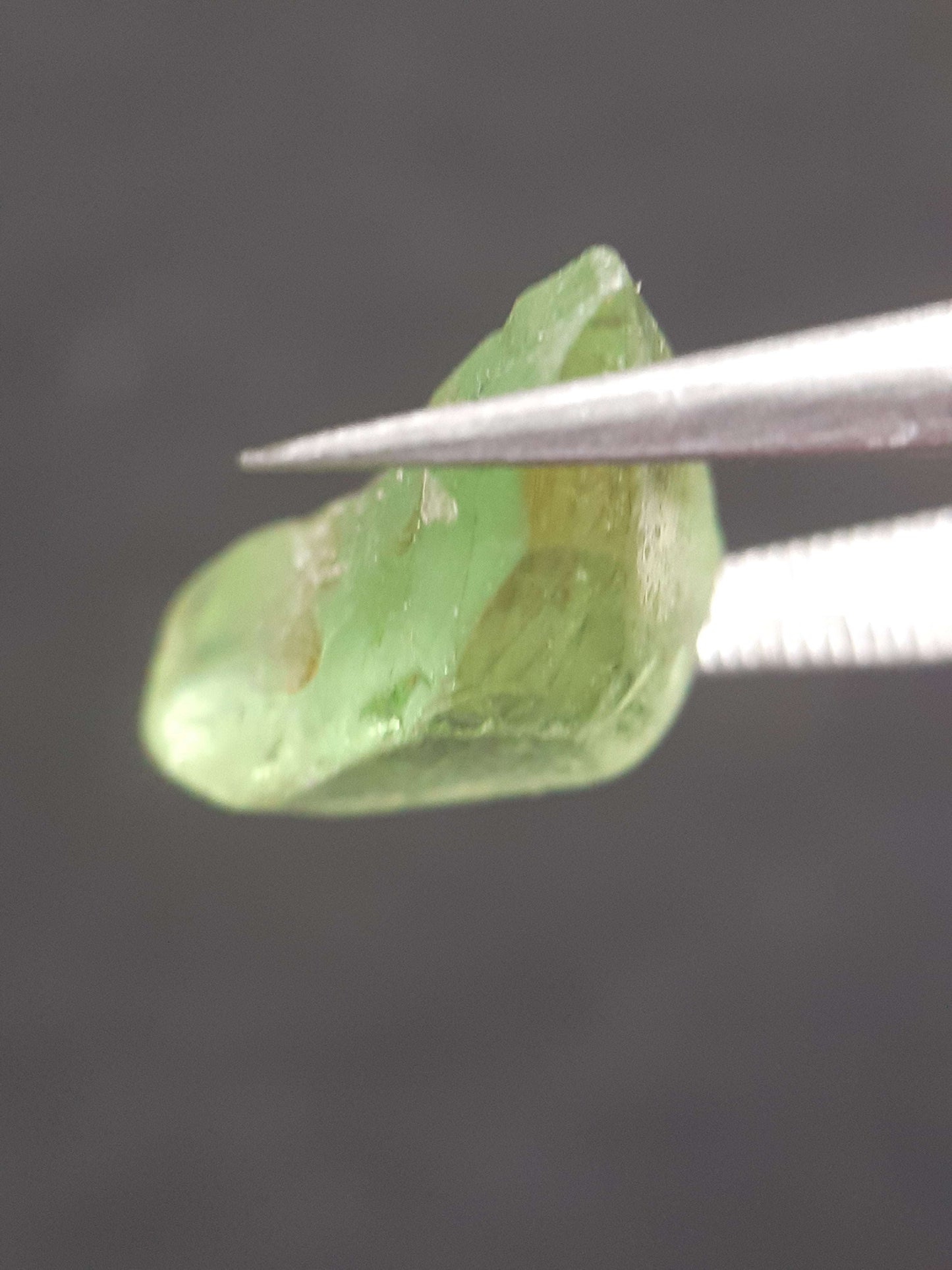 Natural Green Peridot - 5.754 ct - rough gemstone - for faceting - certified natural