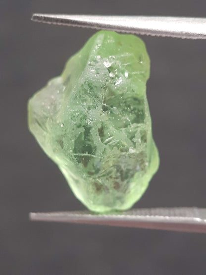 Natural Green Peridot - 6.589 ct - rough gemstone - for faceting - certified natural