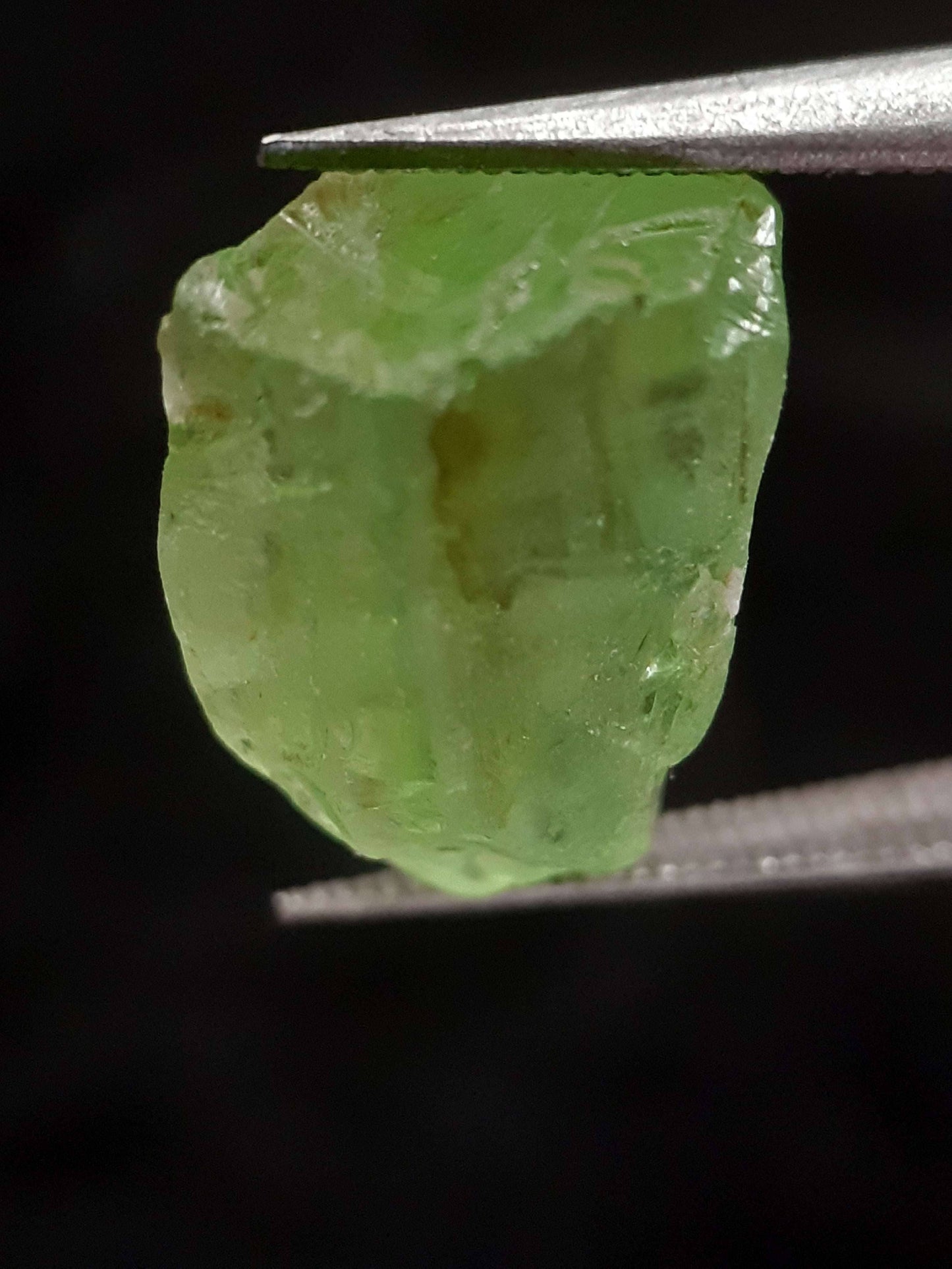 Natural Green Peridot - 7.083 ct - rough gemstone - for faceting - certified natural