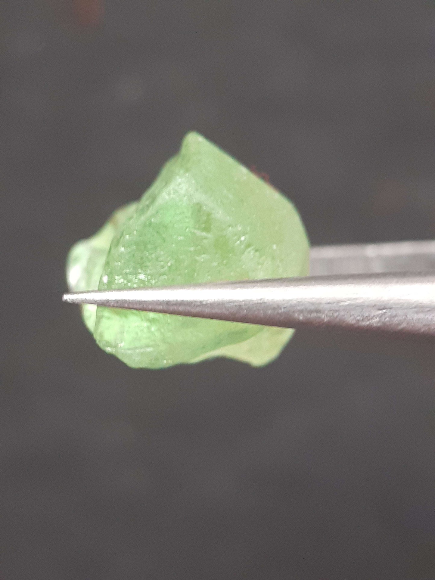 Natural Green Peridot - 7.563 ct - rough gemstone - for faceting - certified natural