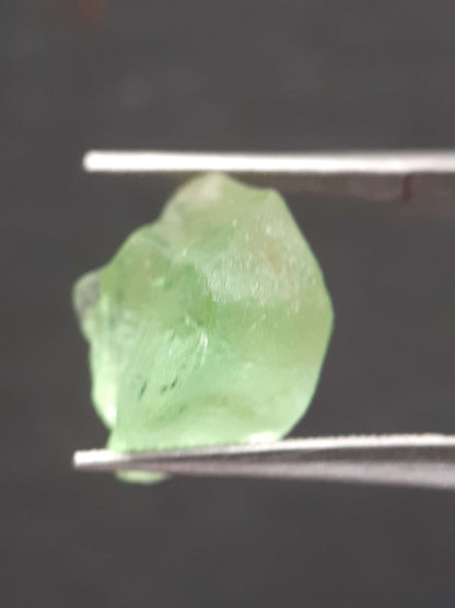 Natural Green Peridot - 7.563 ct - rough gemstone - for faceting - certified natural