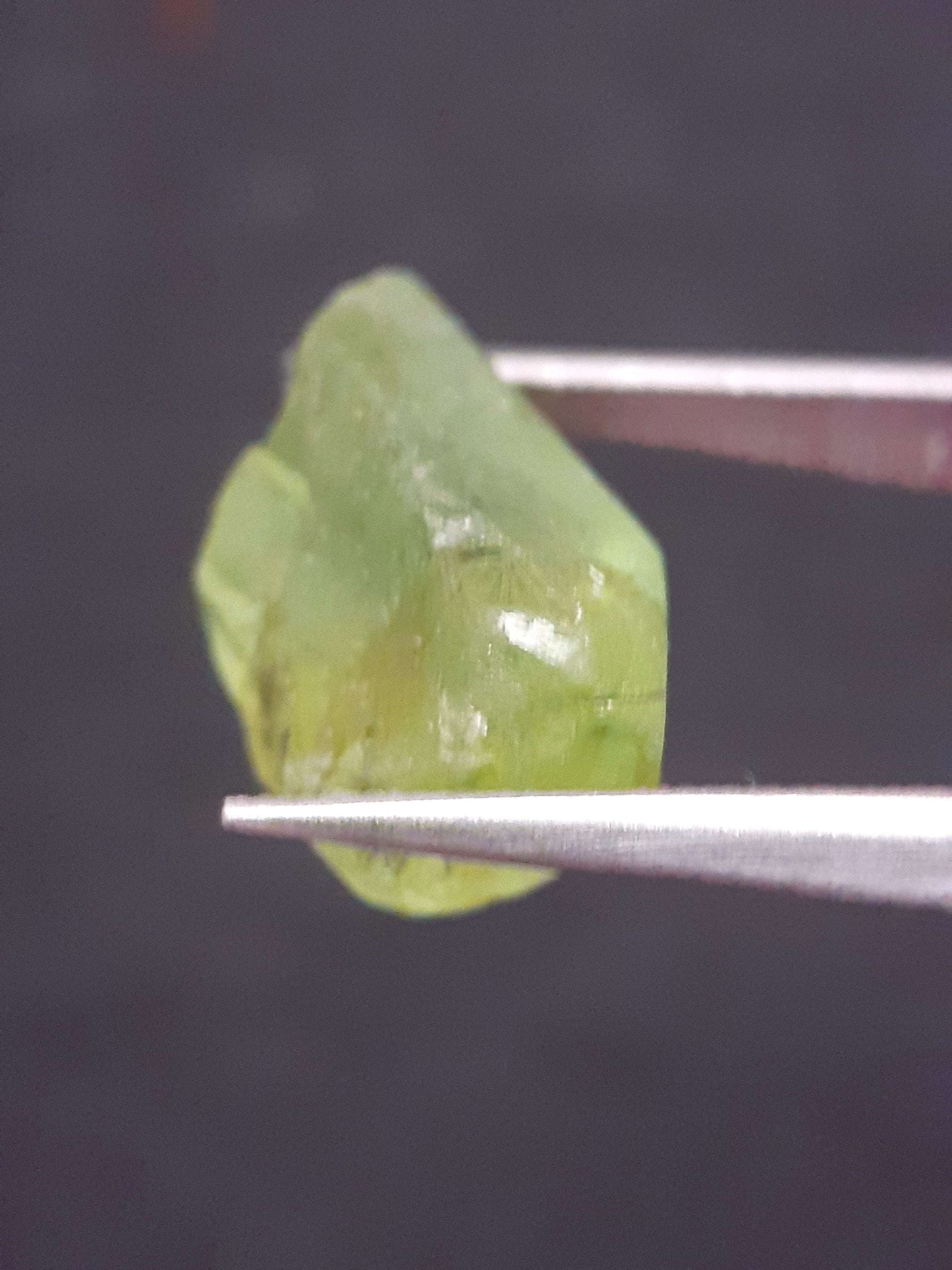 Natural Green Peridot - 7.640 ct - rough gemstone - for faceting - certified natural