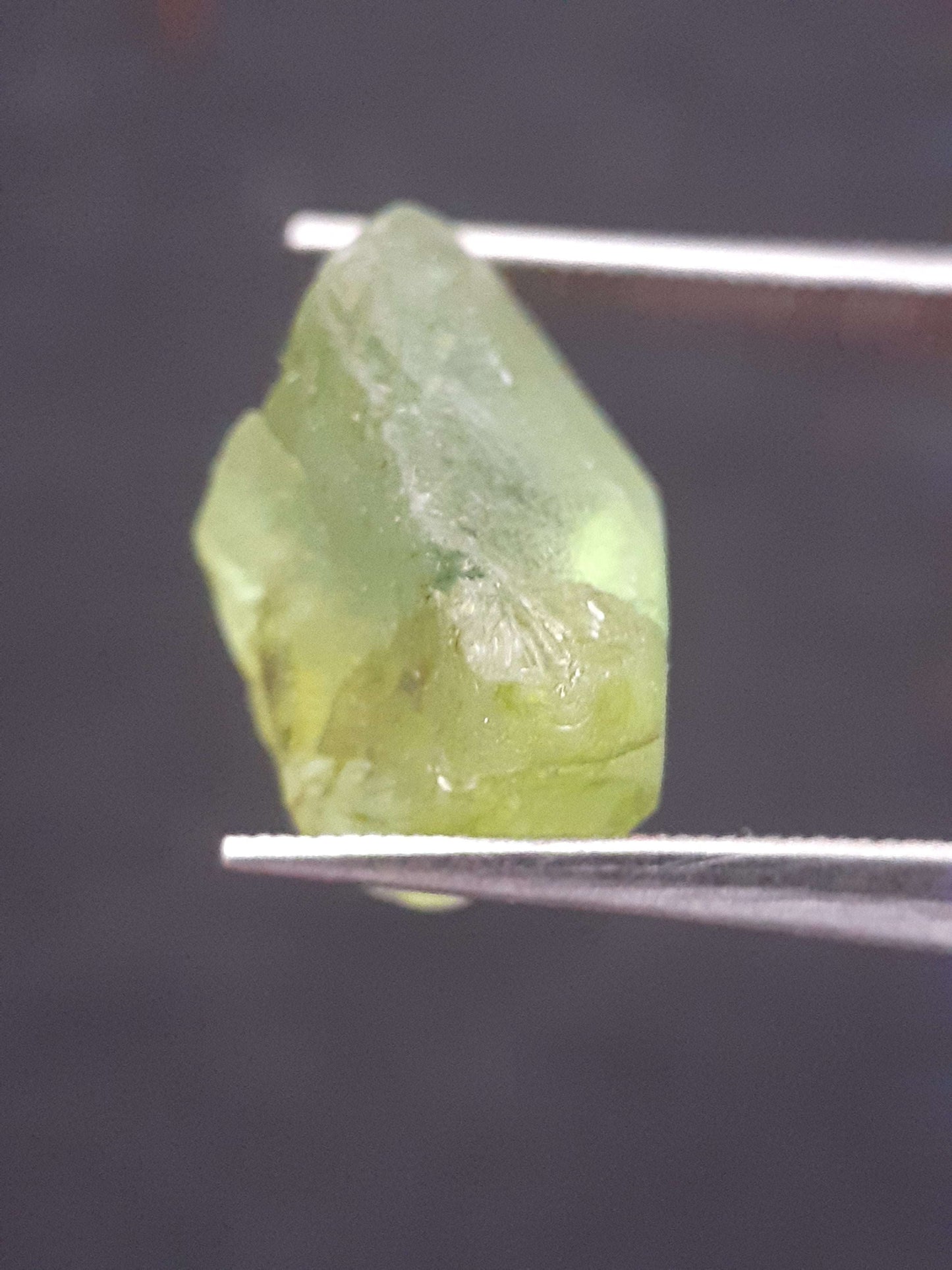 Natural Green Peridot - 7.640 ct - rough gemstone - for faceting - certified natural