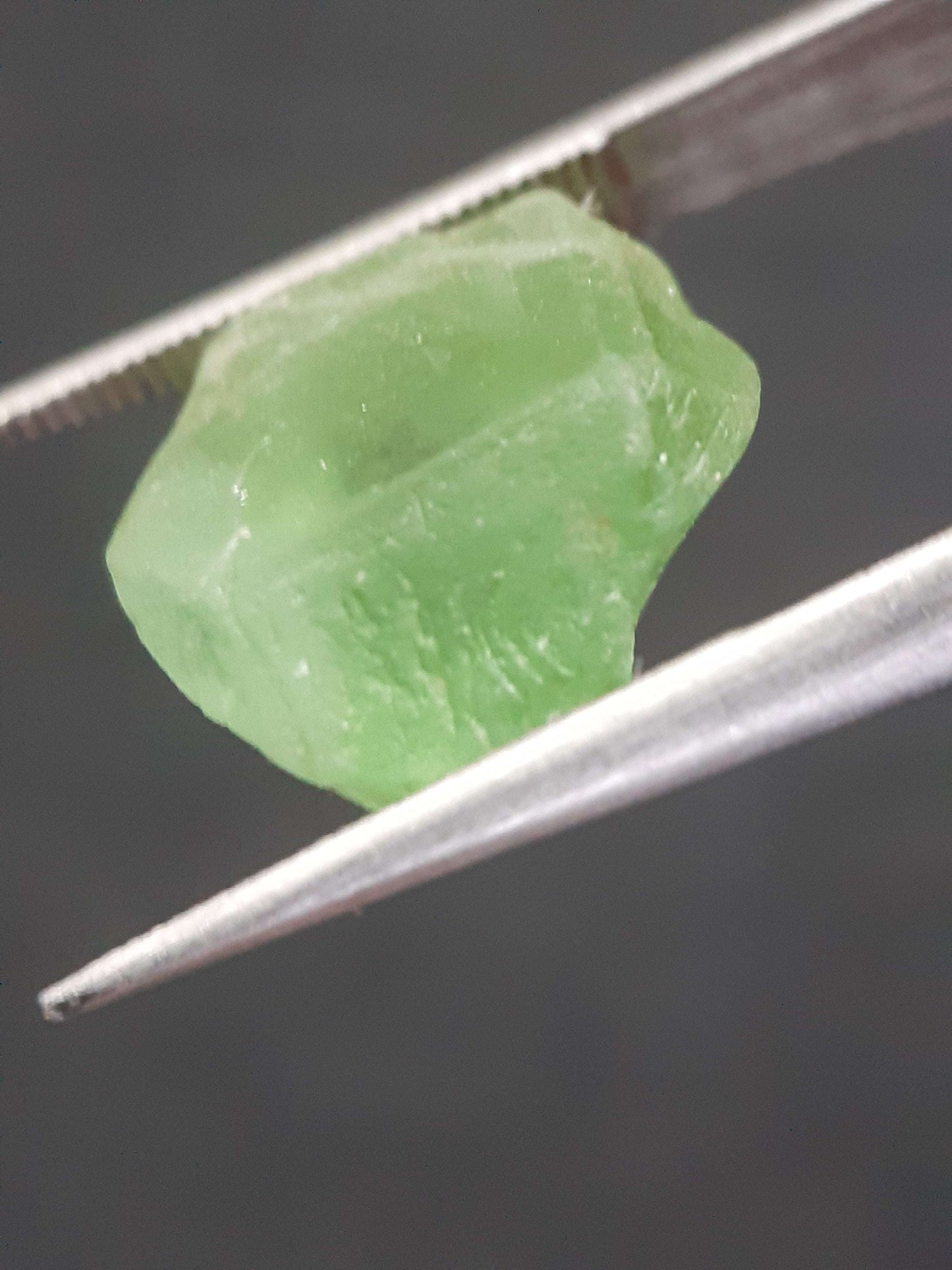 Natural Green Peridot - 8.725 ct - rough gemstone - for faceting - certified natural