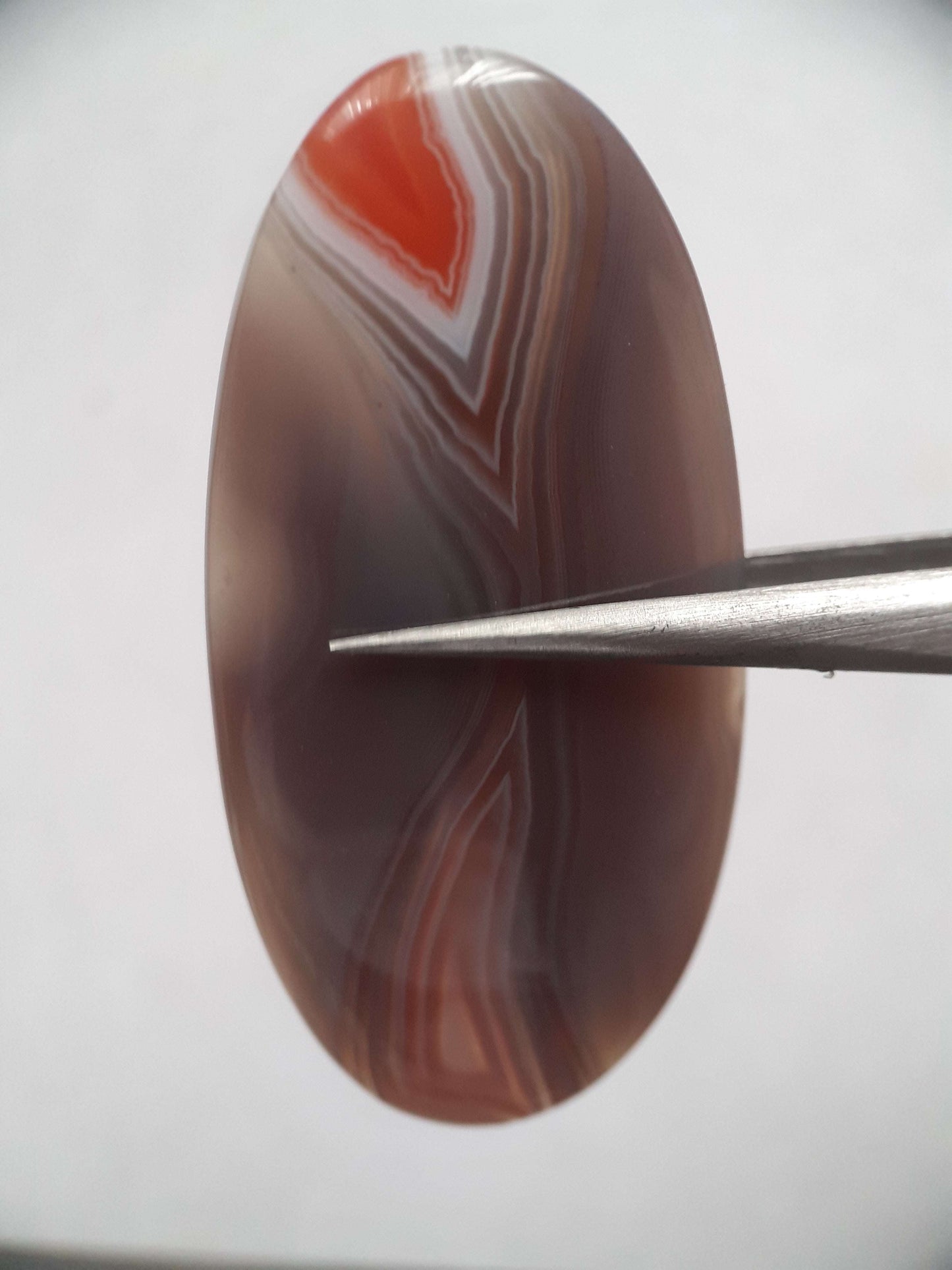 Natural grey and orangy red Botswana Agate - 36.98 ct - oval - amazing pattern and color