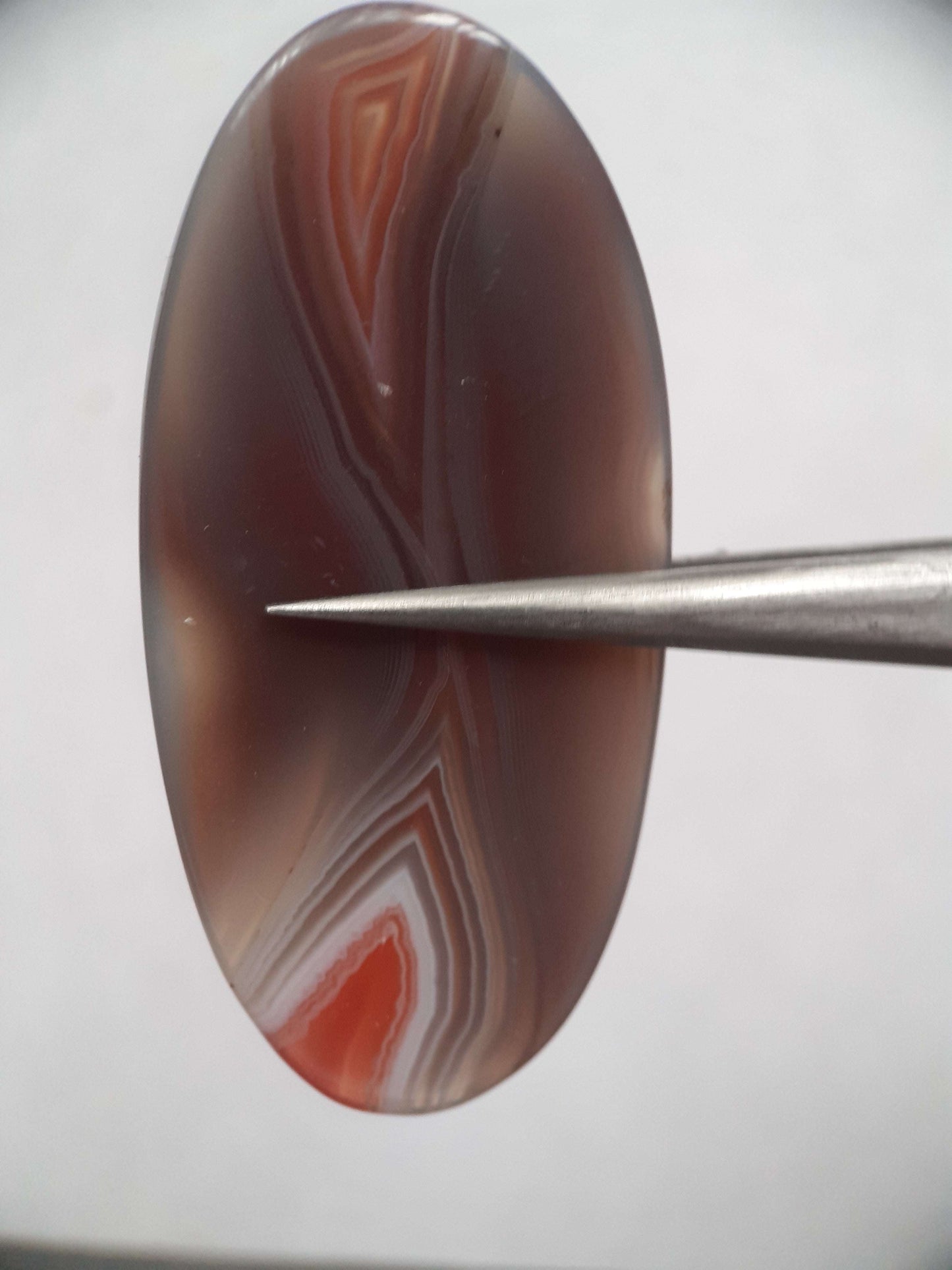 Natural grey and orangy red Botswana Agate - 36.98 ct - oval - amazing pattern and color