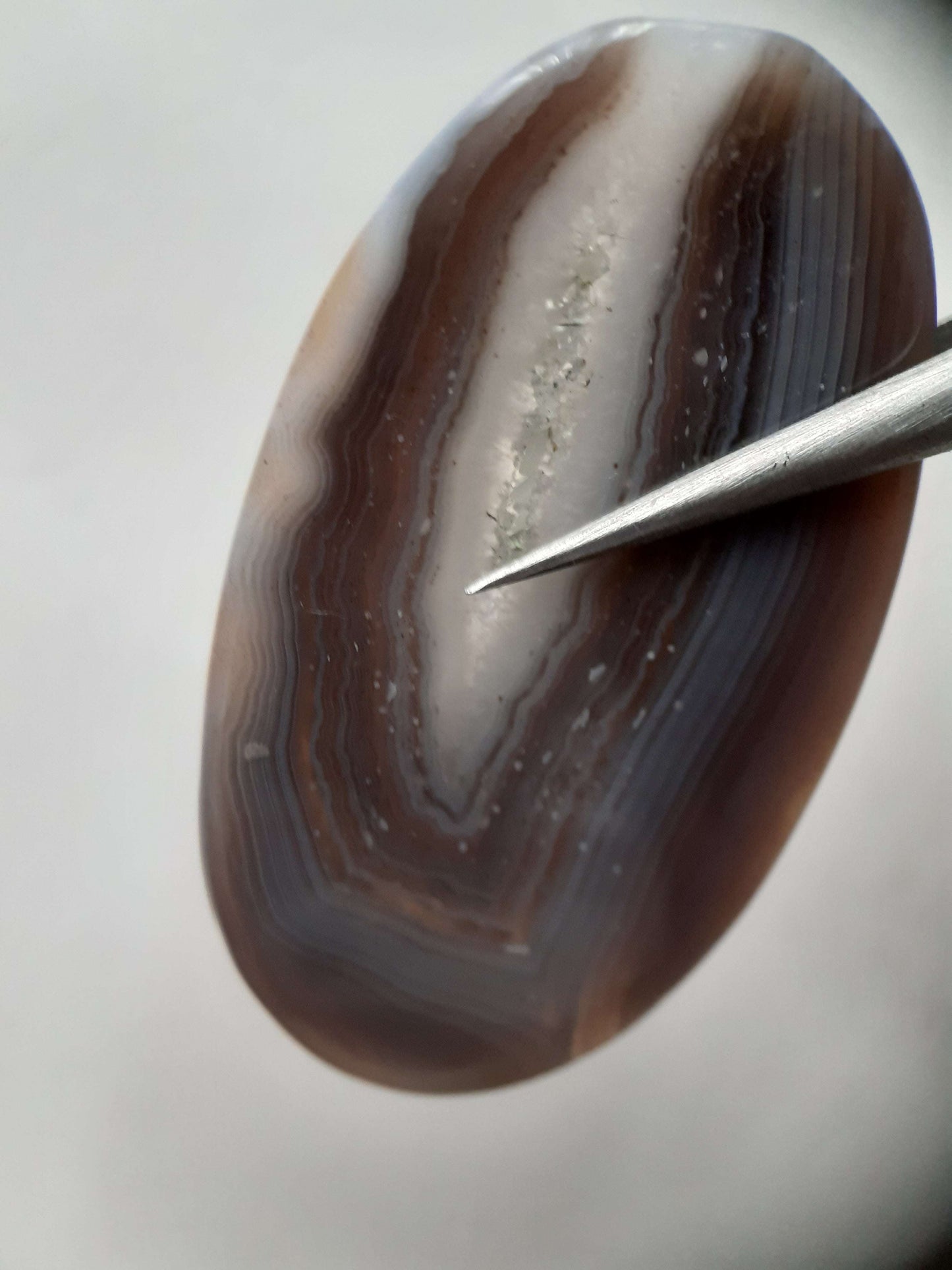 Natural grey Botswana Agate - 43.183 ct - long oval Cabochon - certified natural