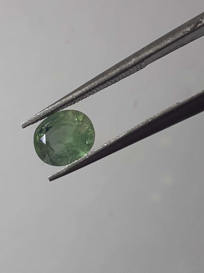 Natural light to deep green sapphire - 1.02 ct - oval - unheated - Australia - certified by NGB - Natural Gems Belgium