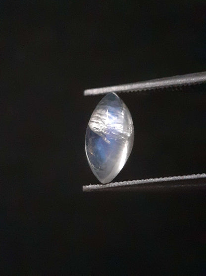 Natural Moonstone - blue adularescence - 0.919 ct - marquise cabochon