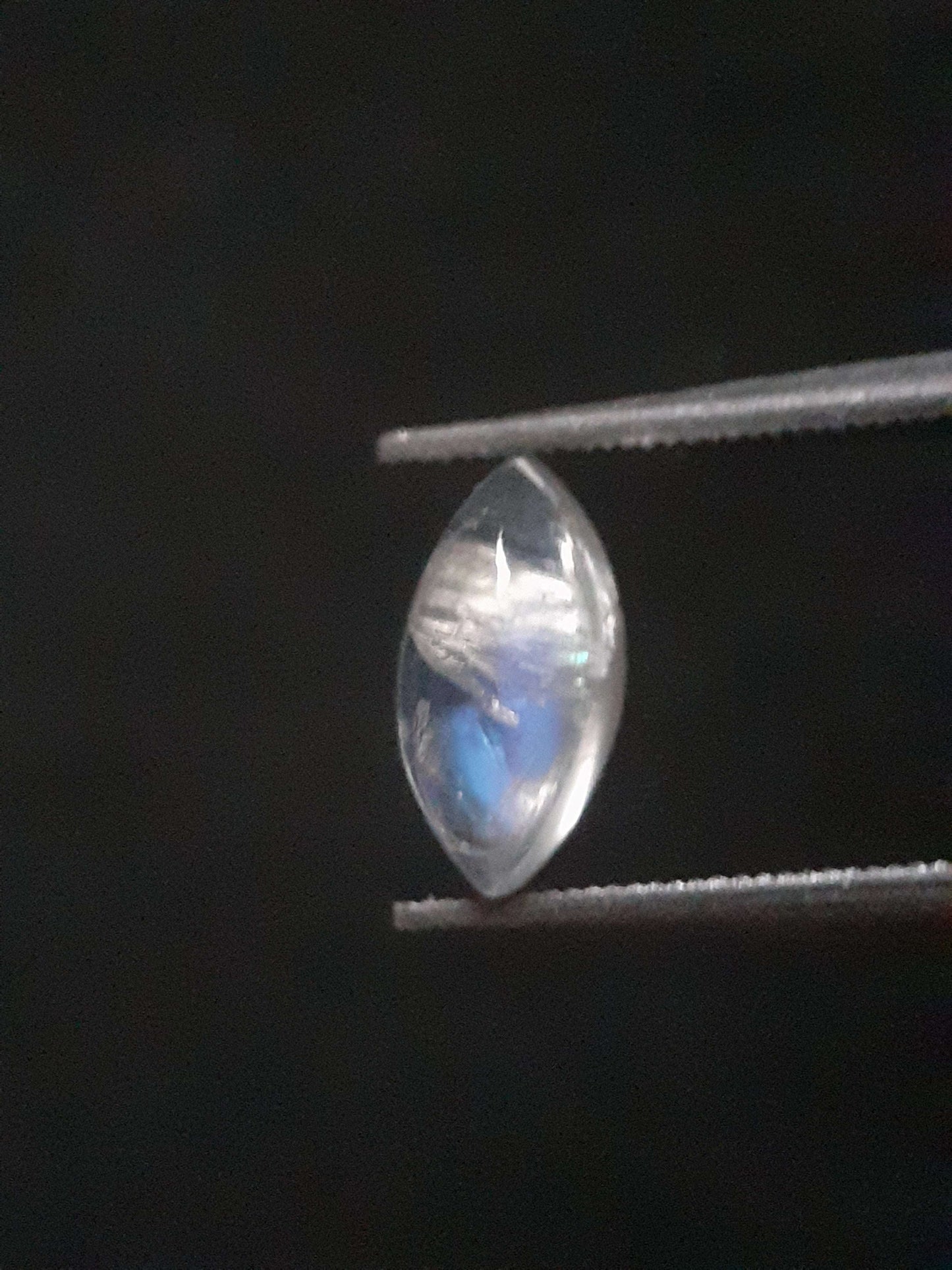 Natural Moonstone - blue adularescence - 0.919 ct - marquise cabochon