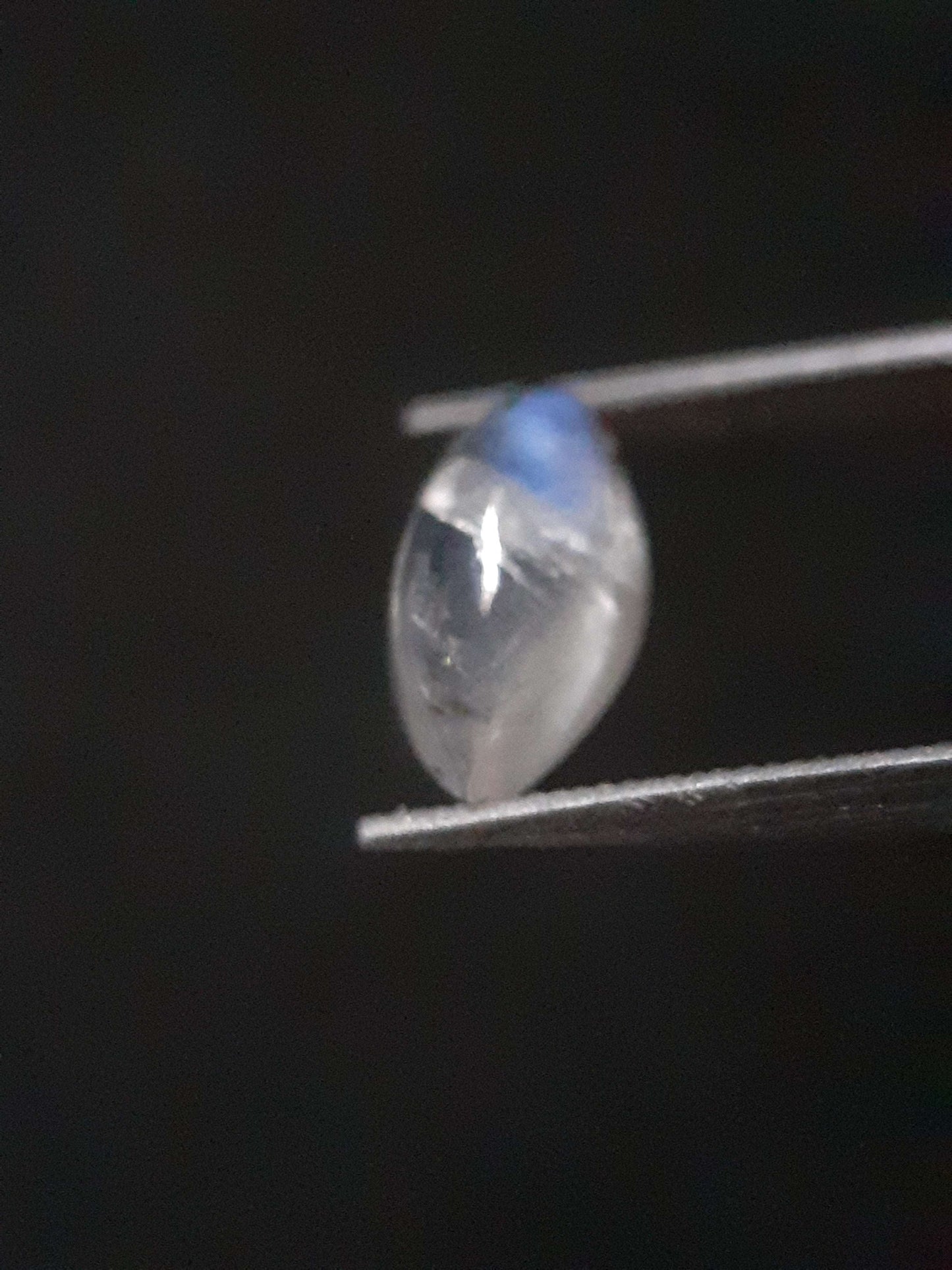 Natural Moonstone - blue adularescence - 0.919 ct - marquise cabochon