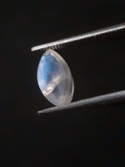 Natural Moonstone - blue adularescence - 0.919 ct - marquise cabochon