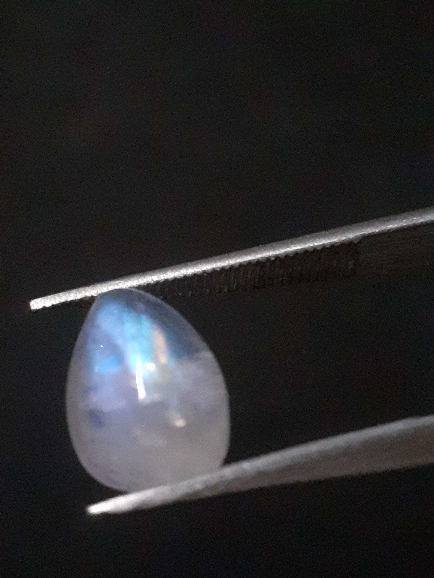 Natural Moonstone - blue adularescence - 1.650 ct - pear