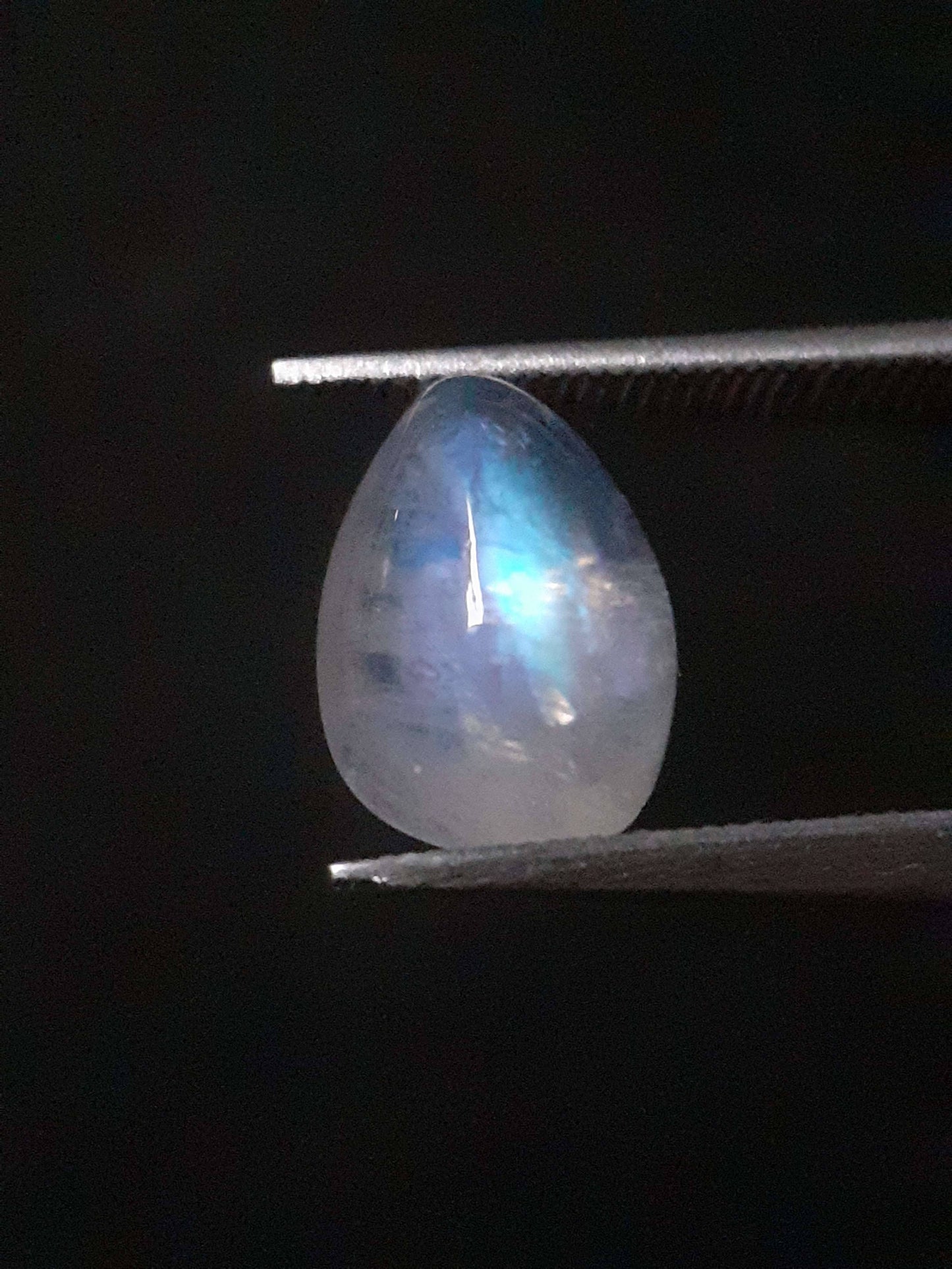 Natural Moonstone - blue adularescence - 1.650 ct - pear