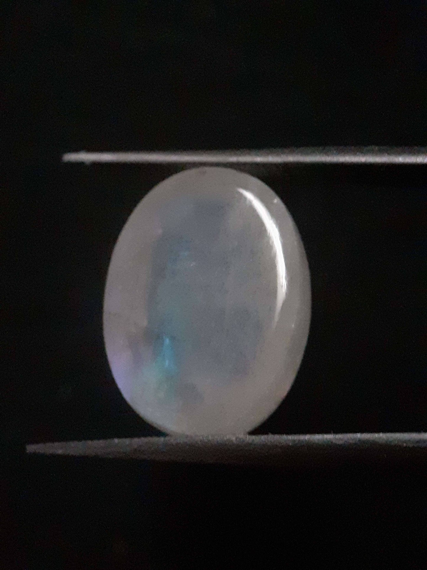 Natural Moonstone - blue adularescence - 13.143 ct - oval - certified natural