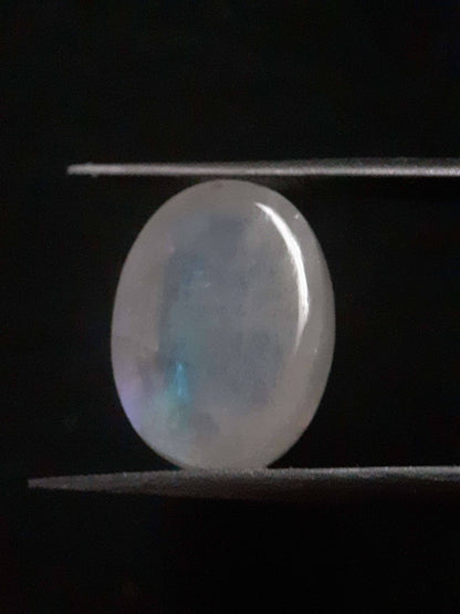 Natural Moonstone - blue adularescence - 13.143 ct - oval - certified natural