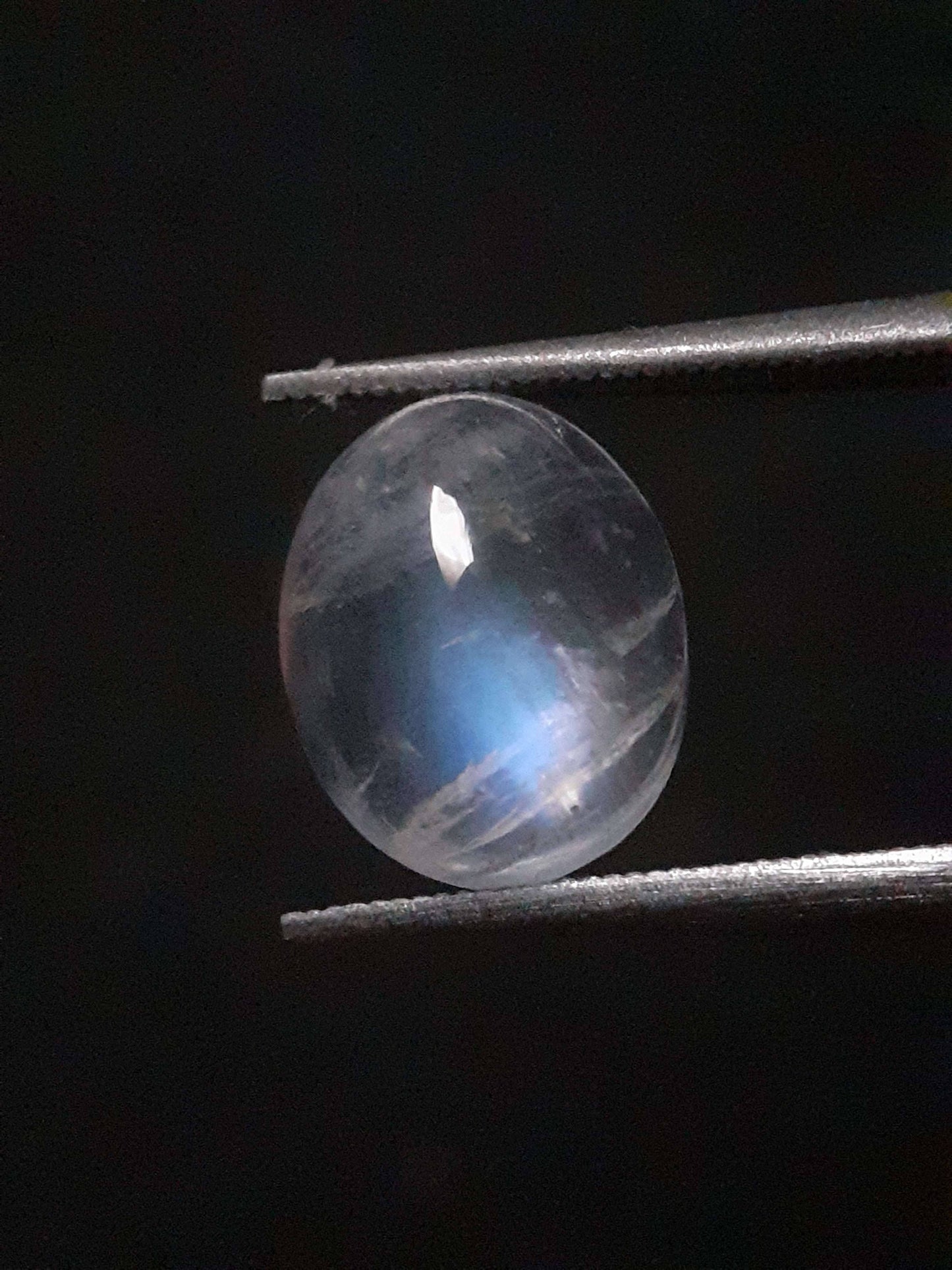 Natural Moonstone - blue adularescence - 2.398 ct - oval