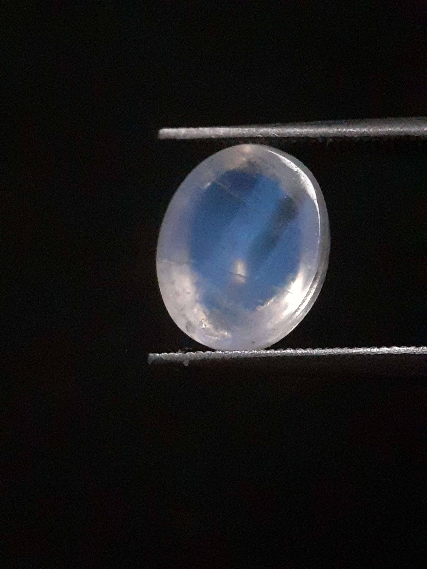 Natural Moonstone - blue adularescence - 2.398 ct - oval