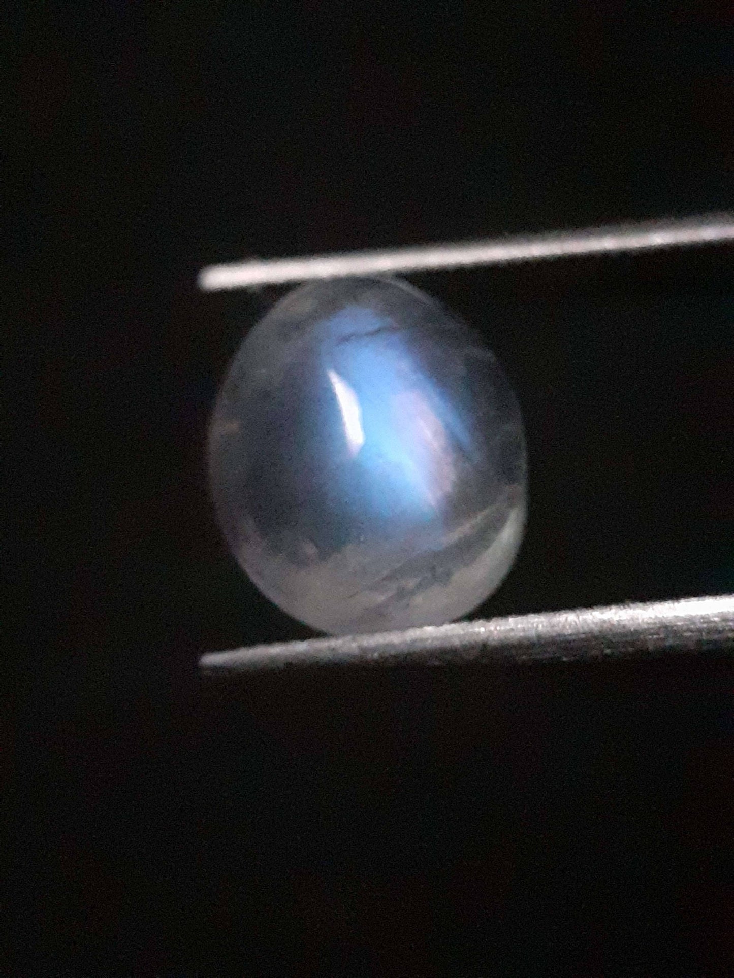 Natural Moonstone - blue adularescence - 2.398 ct - oval