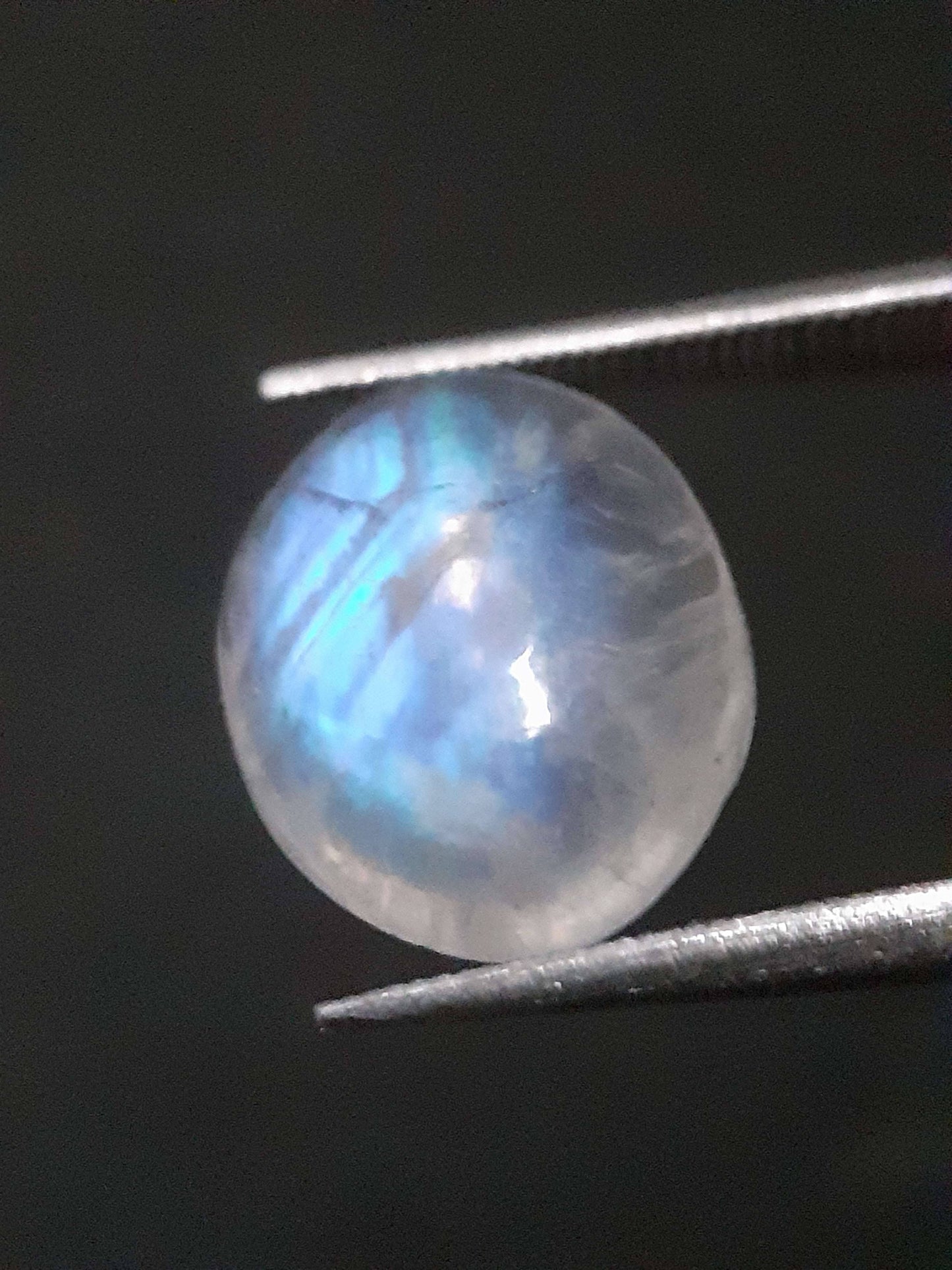 Natural Moonstone - blue adularescence - 2.945 ct - oval - certified natural