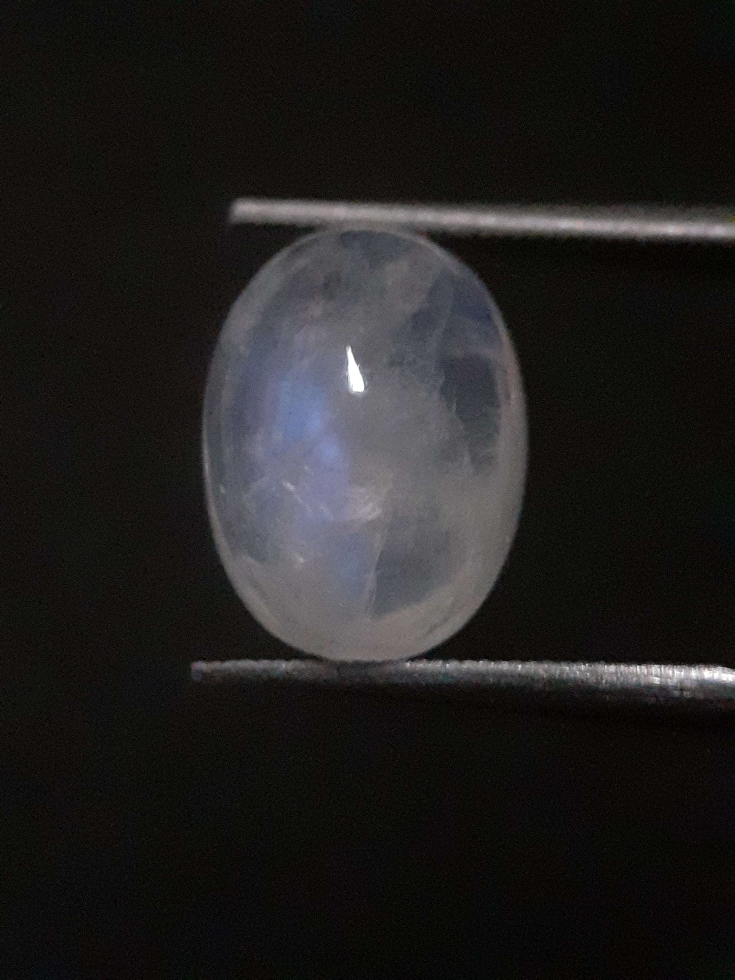 Natural Moonstone - blue adularescence - 4.115 ct - oval - certified natural