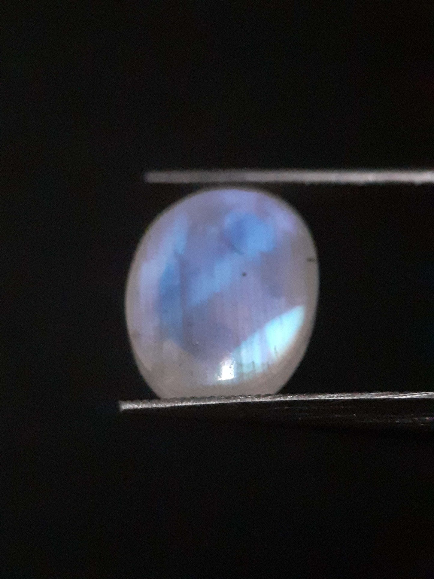 Natural Moonstone - blue adularescence - 4.115 ct - oval - certified natural