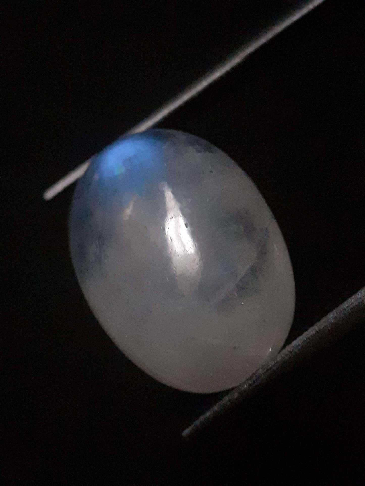 Natural Moonstone - blue adularescence - 8.870 ct - oval - certified natural