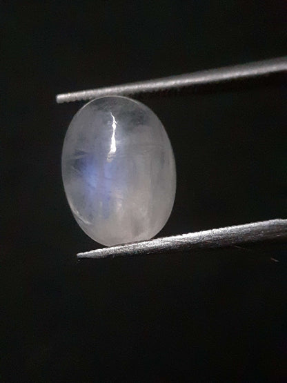 Natural Moonstone - faint blue adularescence - 3.220 ct - oval cabochon