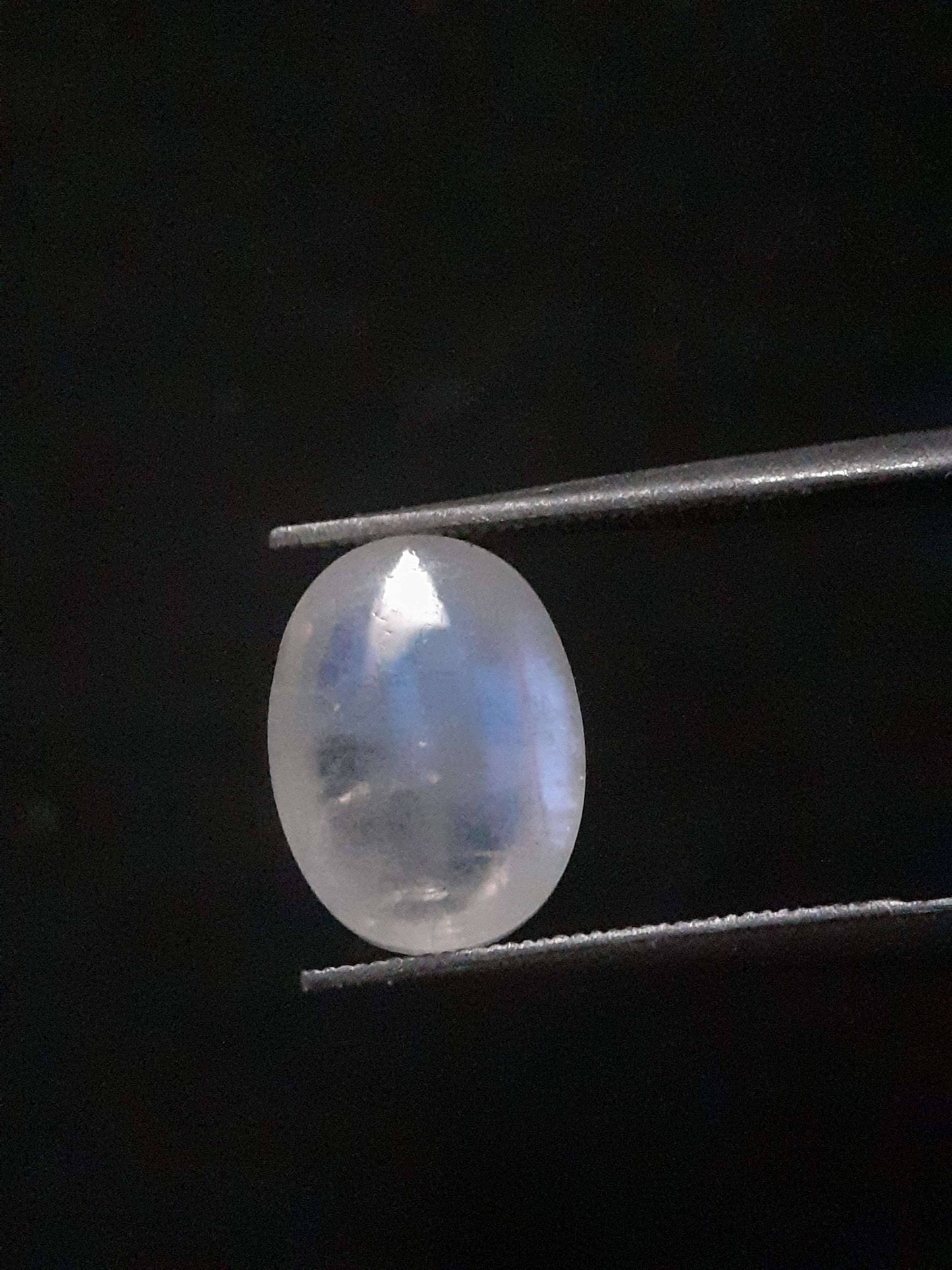 Natural Moonstone - faint blue adularescence - 3.220 ct - oval cabochon