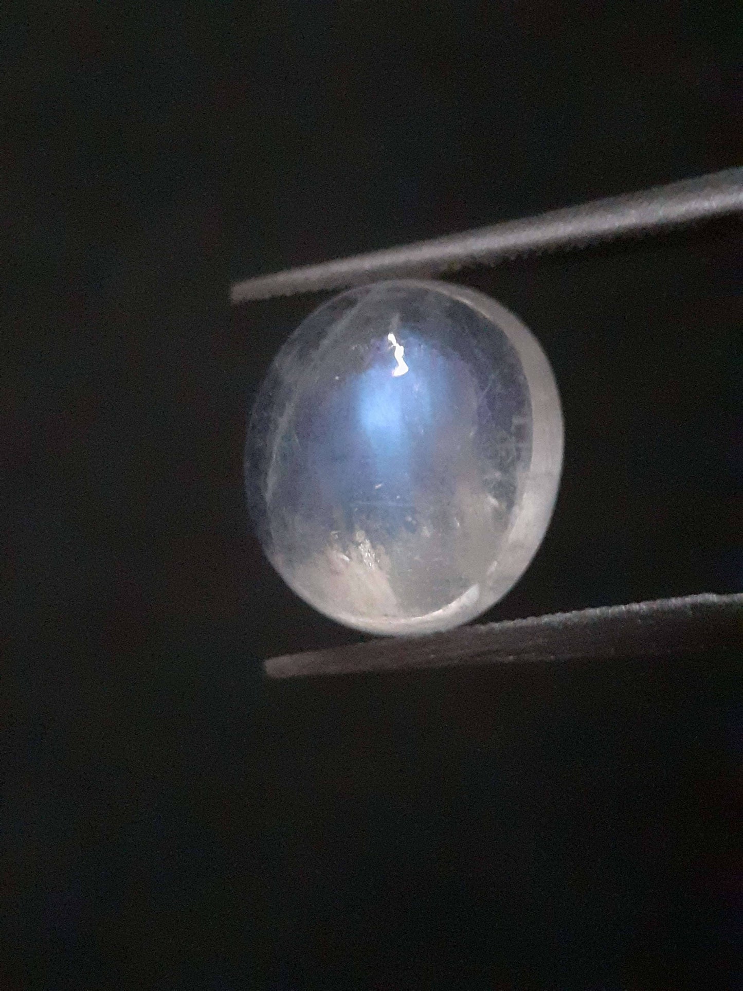 Natural Moonstone - faint blue adularescence - 3.518 ct - oval cabochon